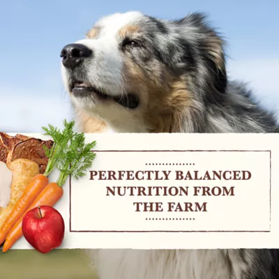 Merrick Whole Earth Farms Grain Free Wet Dog Food Variety Pack - Chicken/Turkey & Beef - Image 6