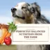 Merrick Whole Earth Farms Grain Free Wet Dog Food Variety Pack - Chicken/Turkey & Beef image thumbnail 6