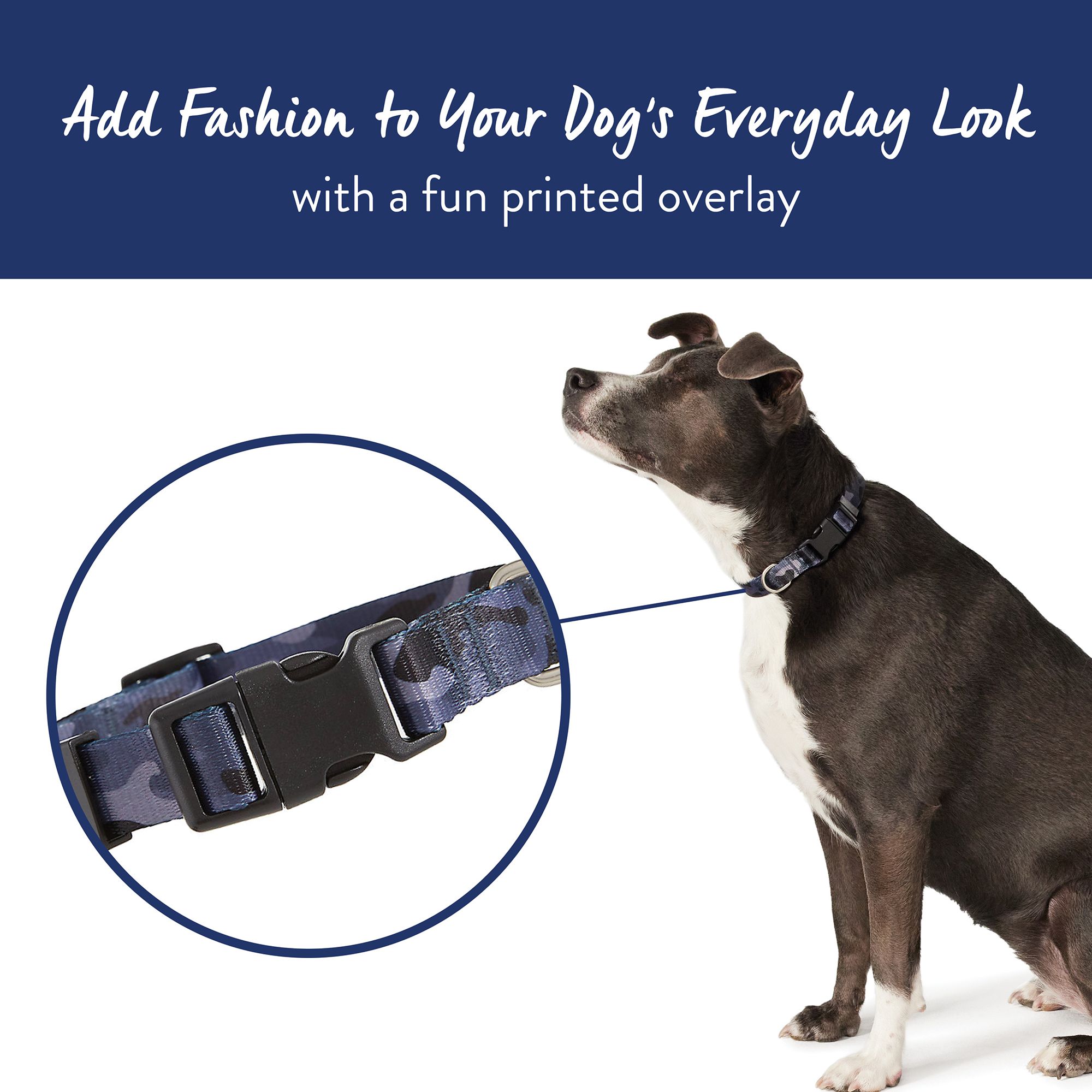 Martingale collar petsmart sale