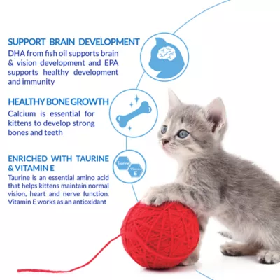 Product Inaba Churu Lickable Cat Treat - Kitten, Chicken