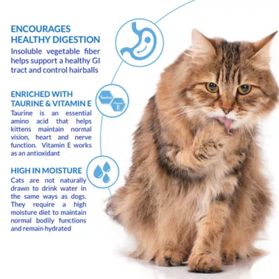 Product Inaba Churu Lickable Cat Treat Hairball Control - Tuna