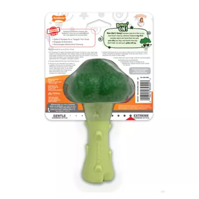 Product Nylabone® Power Chew Broccoli "Brocc' On!" Dog Toy - Bacon & Cheese Flavor