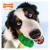 Nylabone® Power Chew Broccoli "Brocc' On!" Dog Toy - Bacon & Cheese Flavor image thumbnail 4
