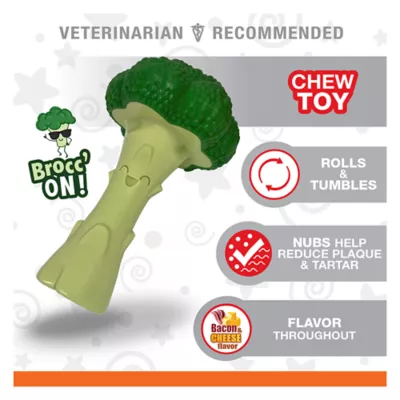 Product Nylabone® Power Chew Broccoli "Brocc' On!" Dog Toy - Bacon & Cheese Flavor