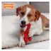 Nylabone® Power Chew Lobster Dog Toy, Filet Mignon Flavor image thumbnail 3