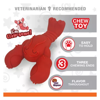 Product Nylabone® Power Chew Lobster Dog Toy, Filet Mignon Flavor