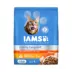 IAMS Proactive Health Adult Dry Cat Food - Healthy Enjoyment, Chicken & Salmon image thumbnail 1