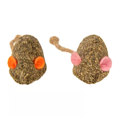 Mouse hunt cat toy best sale