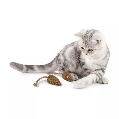 Product Instincts SmartyKat Mouser Mayhem Cat Toy - 2 Pack