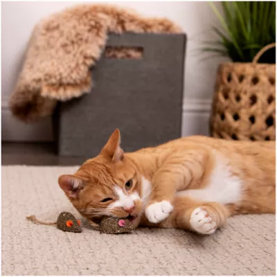 Product Instincts SmartyKat Mouser Mayhem Cat Toy - 2 Pack