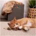 Instincts SmartyKat Mouser Mayhem Cat Toy - 2 Pack image thumbnail 6
