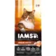 Product IAMS ADVANCED CHICKEN & SALMON