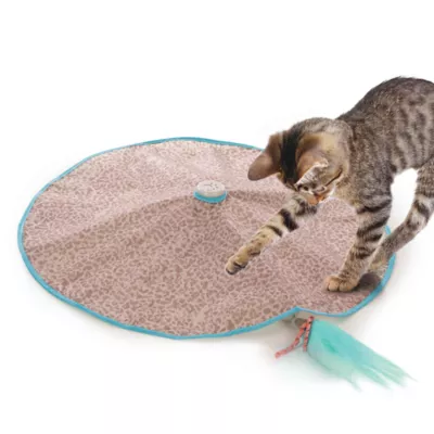 Product Instincts SmartyKat Hidden Hijinks Cat Toy