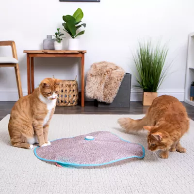 Product Instincts SmartyKat Hidden Hijinks Cat Toy