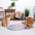 Instincts SmartyKat Hidden Hijinks Cat Toy image thumbnail 7