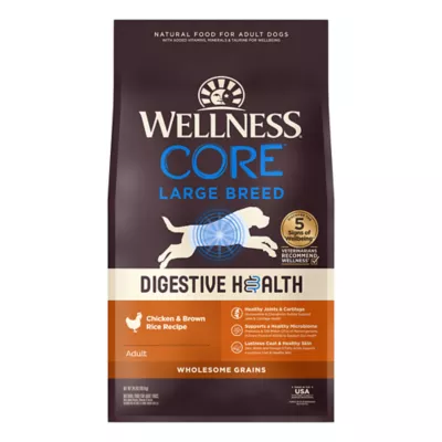 Product Wellness Core Digestive Health Large Breed Adult Dry Dog Food - Chicken & Brown Rice