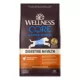 Product Wellness Core Digestive Health Large Breed Adult Dry Dog Food - Chicken & Brown Rice