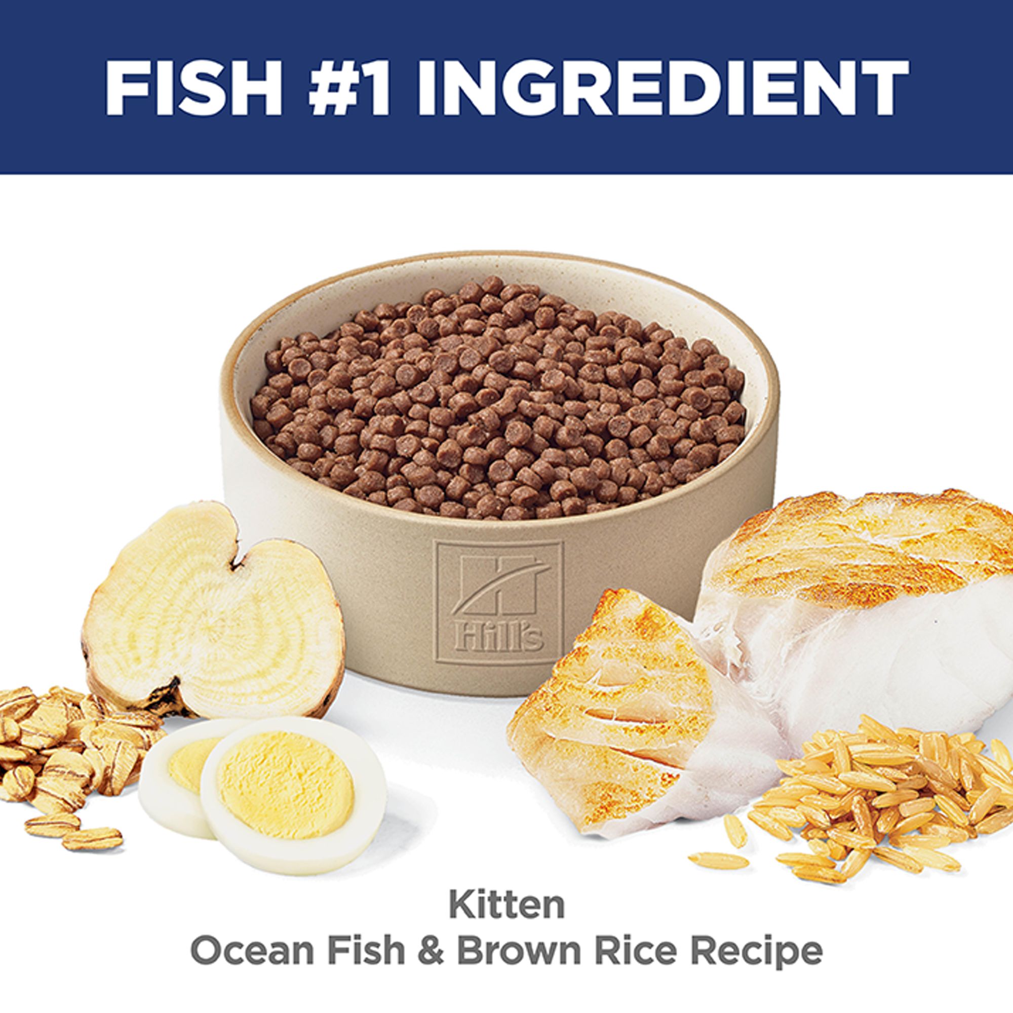 Hill's Science Diet Kitten Ocean Fish 3.5LB - thumbnail 6