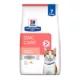 Product Hill's Prescription Diet ONC Care Dry Cat Food - Cancer Support, Chicken