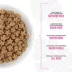 Tiki Dog Born Carnivore Small & Medium Breed All Life Stage Dry Dog Food - Savory Lamb image thumbnail 6