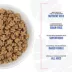Tiki Dog Born Carnivore Small & Medium Breed All Life Stage Dry Dog Food - Savory Duck image thumbnail 6