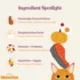 Product Made By Nacho™ Bone Broth Infused Adult Dry Cat Food - Natural, High Protein, Salmon & Pumpkin