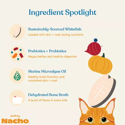 Product Made By Nacho™ Skin & Coat Support Adult Dry Cat Food - Natural, Whitefish & Pumpkin