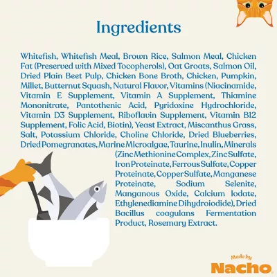 Product Made By Nacho™ Skin & Coat Support Adult Dry Cat Food - Natural, Whitefish & Pumpkin