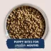 Natural Balance Limited Ingredient Diet Puppy Dry Dog Food - Lamb & Brown Rice image thumbnail 5