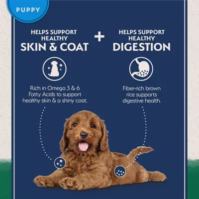 Natural Balance Limited Ingredient Diet Puppy Dry Dog Food - Lamb & Brown Rice - Image 7