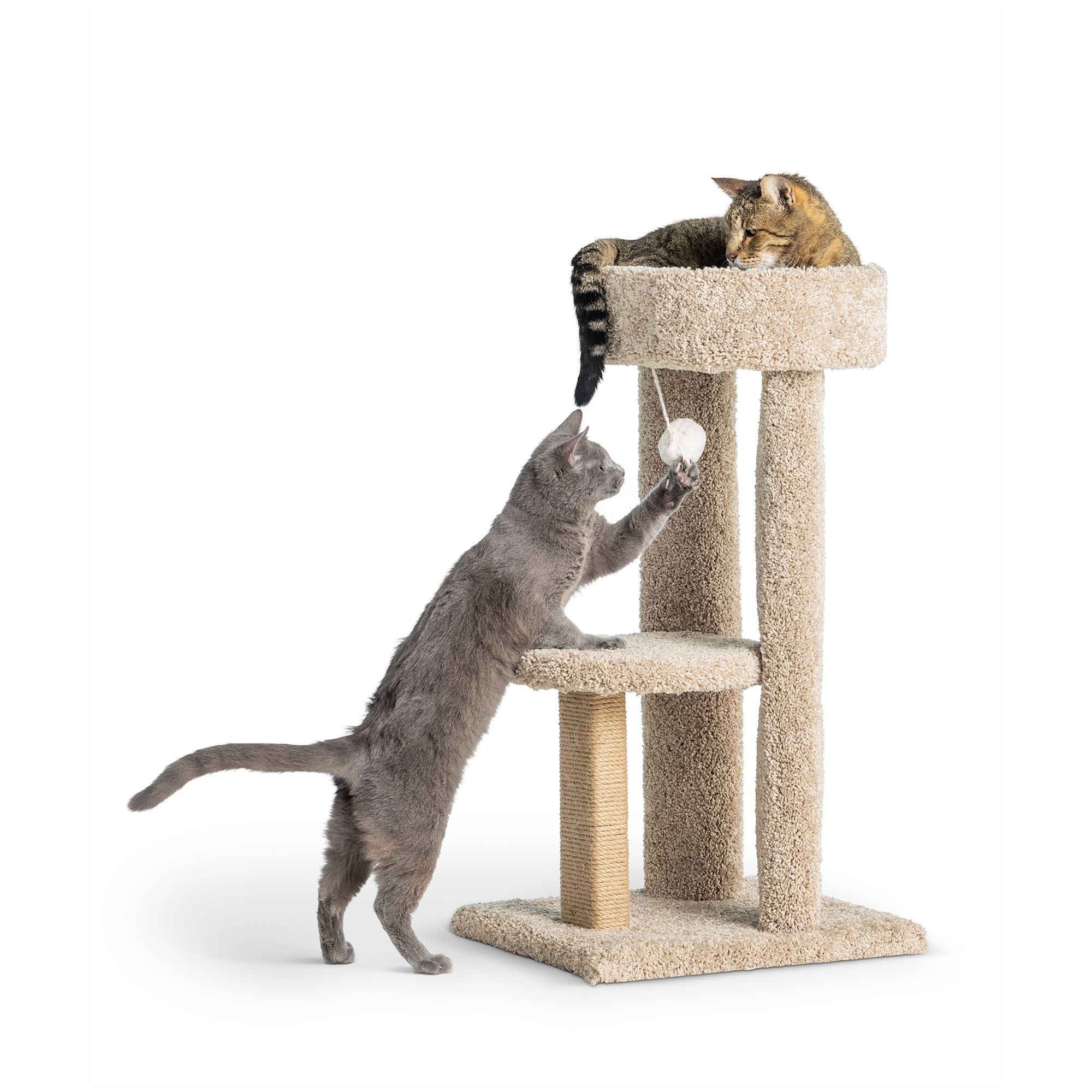 Whisker city three story large tower with outlet rope