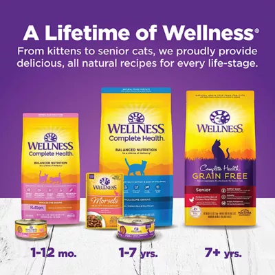 Product Wellness® Complete Health® Pate Favorites Adult Cat Wet Food Variety Pack - Grain-Free, 12ct