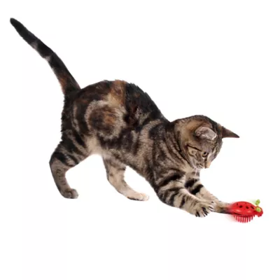 Product Instincts SmartyKat Rumble Bug Electronic Motion Cat Toy