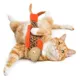 Product Instincts SmartyKat Fin Frenzy Kicker Cat Toy