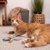 Instincts SmartyKat Tricky Tea Cat Toy - 3 Pack image thumbnail 6