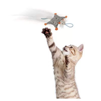 Product Instincts SmartyKat Soarin' Squirrel Cat Toy