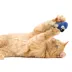 Instincts SmartyKat Chatty Chirp Cat Toy image thumbnail 5