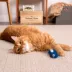 Instincts SmartyKat Chatty Chirp Cat Toy image thumbnail 6