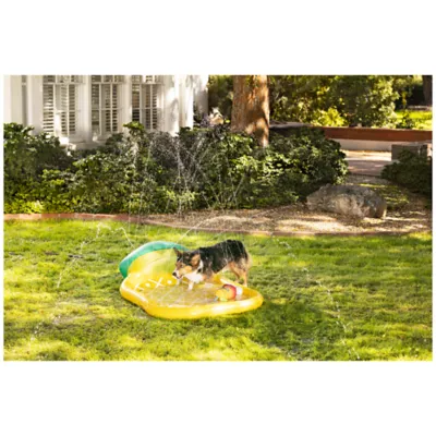 Product Top Paw® Pineapple Summer Splash Pad