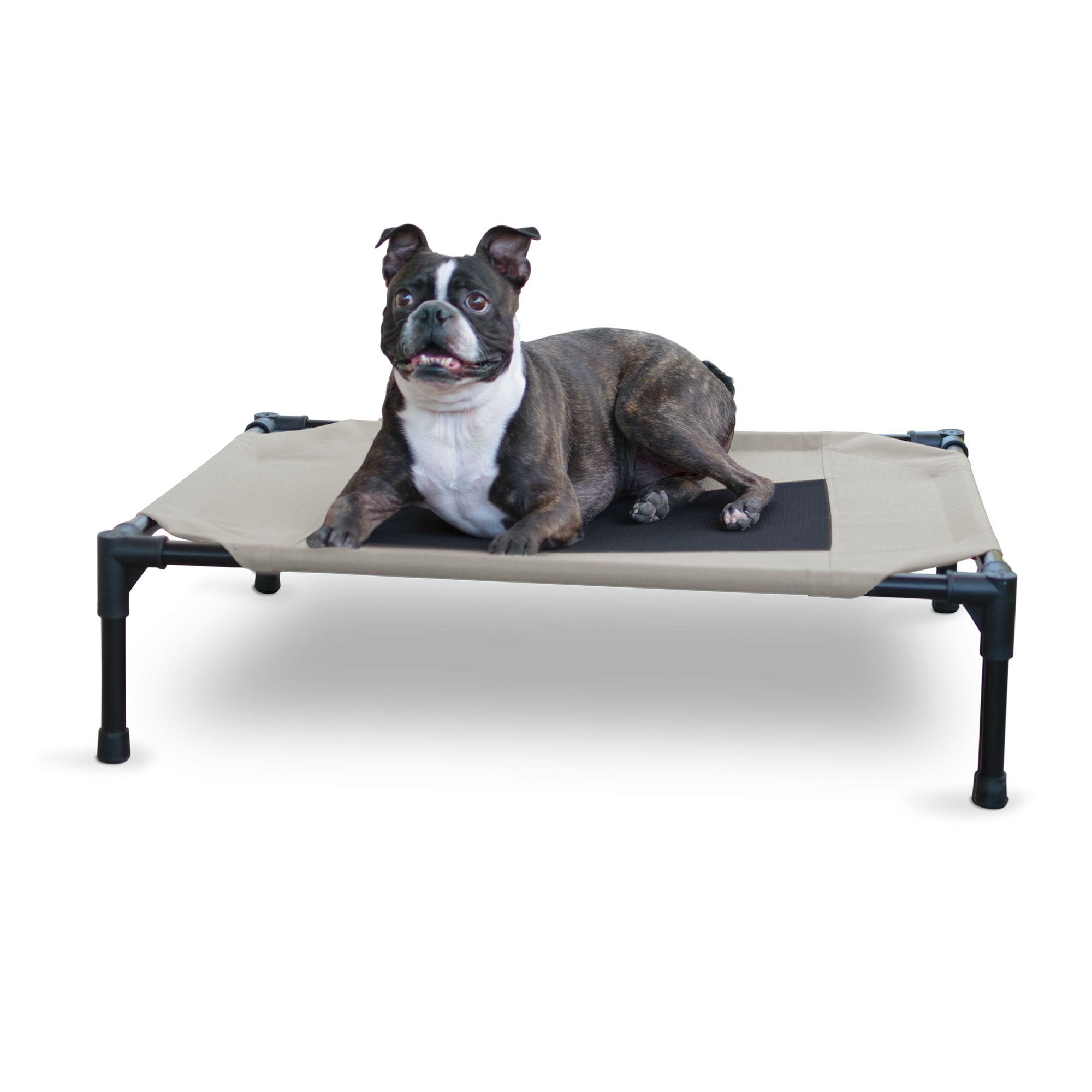 Petsmart elevated sale dog bed