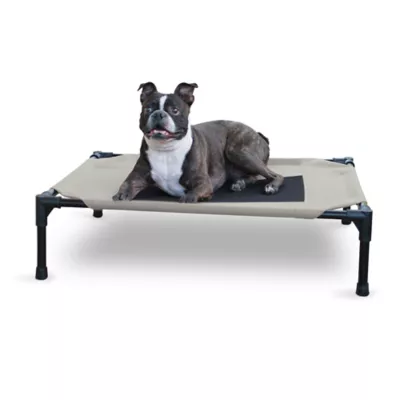 Product K&H Original Elevated Mesh Pet Cot Bed