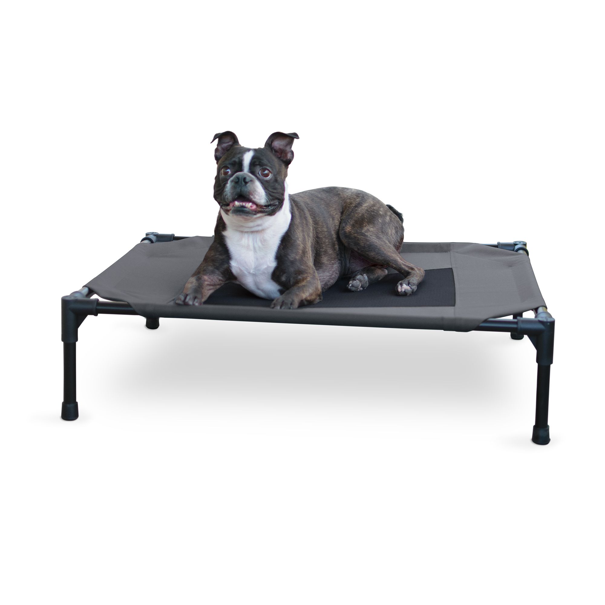 Petsmart raised 2025 dog bed