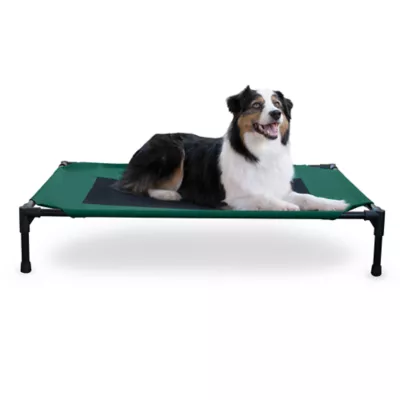 K&H Original Elevated Mesh Pet Cot Bed - Image 1