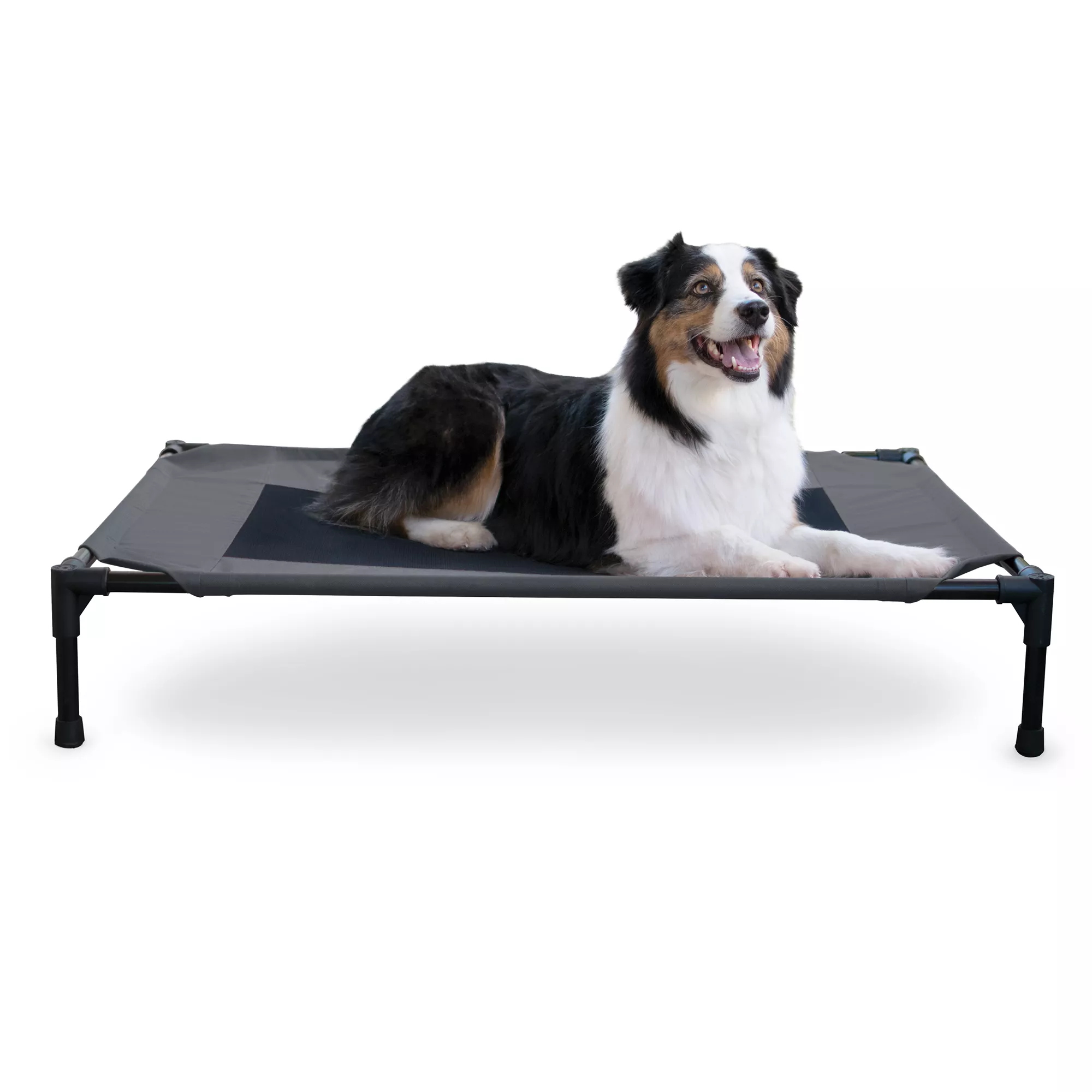 K&H Original Elevated Mesh Pet Cot Bed