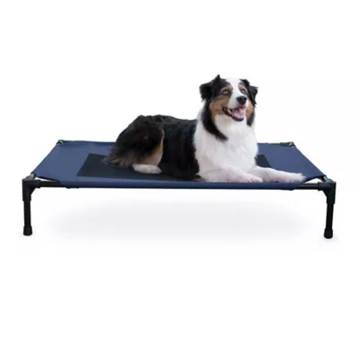 Product K&H Original Elevated Mesh Pet Cot Bed