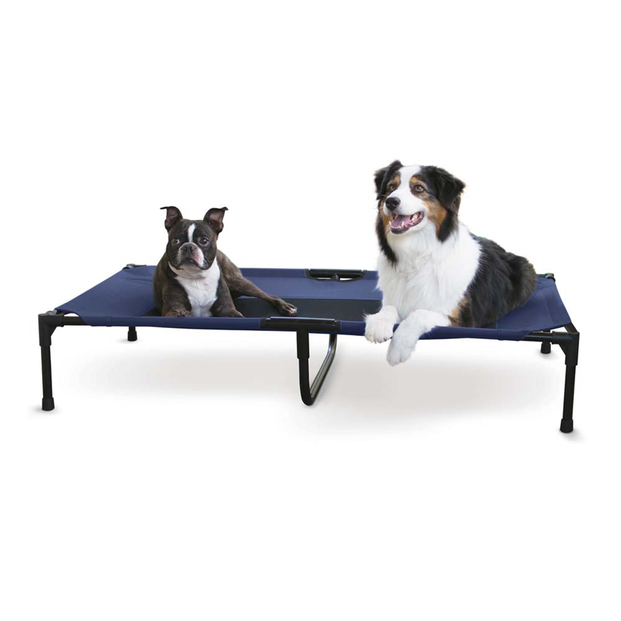 Petsmart elevated shop dog bed