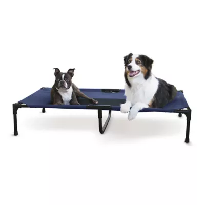 Product K&H Original Elevated Mesh Pet Cot Bed