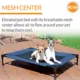 Product K&H Original Elevated Mesh Pet Cot Bed