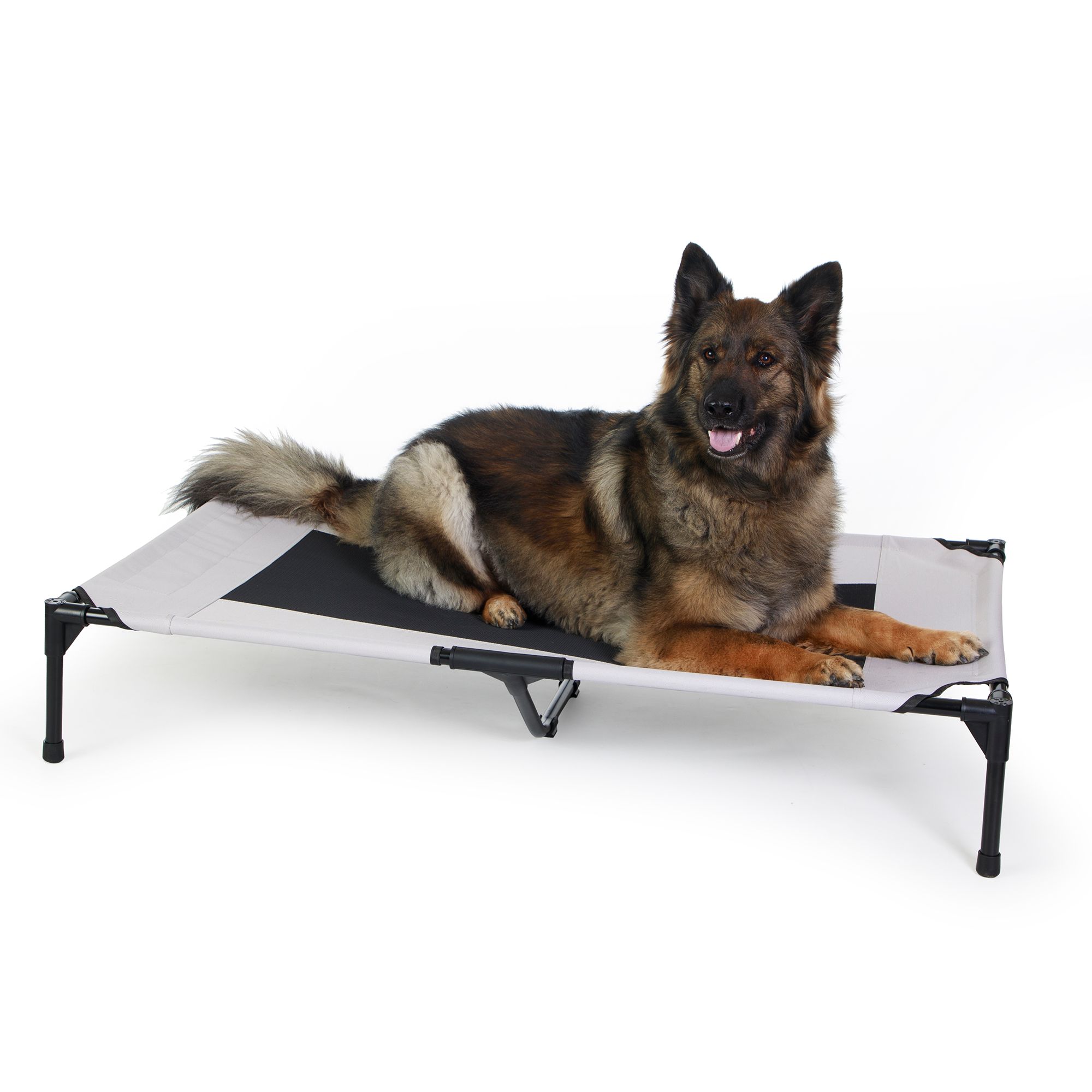 Petsmart raised dog bed best sale