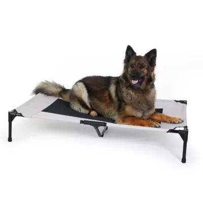 K&H Original Elevated Mesh Pet Cot Bed - Image 1